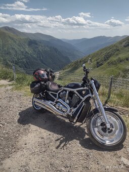 Harley Davidson V-rod 1130 VRSCAW - 2