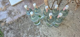 Borovicka - 2