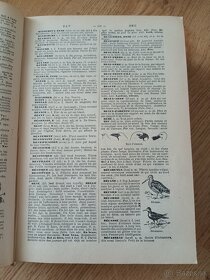 Starý francúzsky slovník - 2
