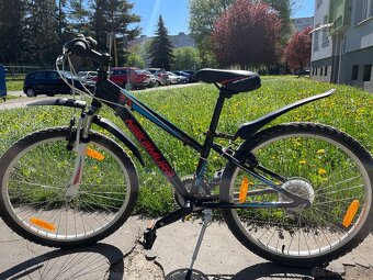 Detsky bicykel Nakamura mx24 - 2