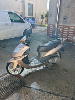 ✅Dealim 125✅ - 2