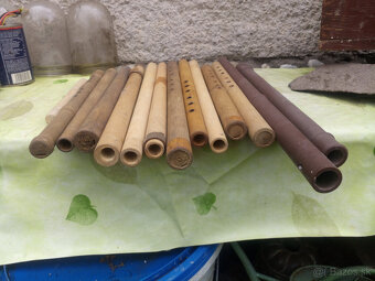 pistala, pistalka - 2