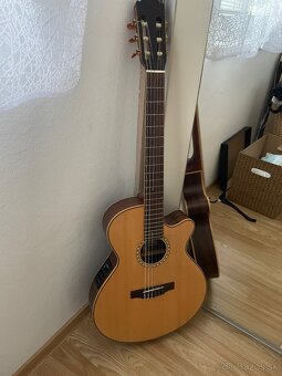 gitara Dowina - 2