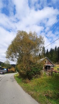 Pozemok s chatou - 2