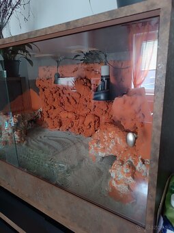 Krasne velke terarium - 2
