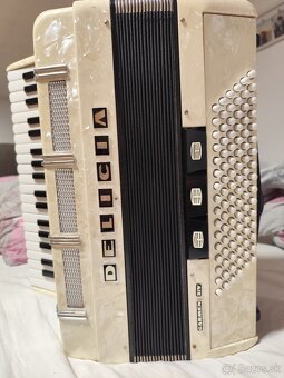 Harmonika delicia carnen - 2