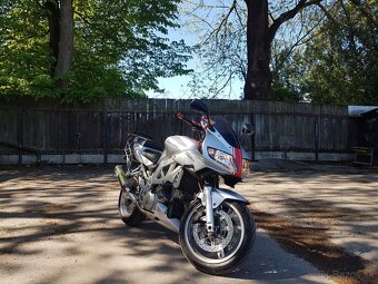 Suzuki SV 1000 S - 2