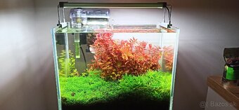 Predám rastlinné akvarium 30x18x24 - 2