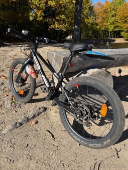 Superior Team 20 detský bicykel - 2