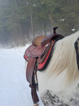 Westernove sedlo znacka western import - 2