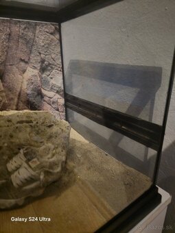 Terarium - 2