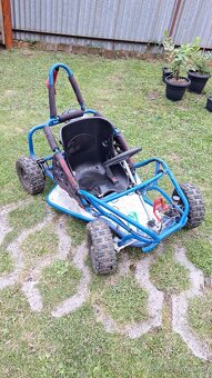 Buggy - 2