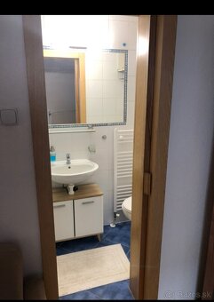 Prenajmem byt v dome 1+1 - 2