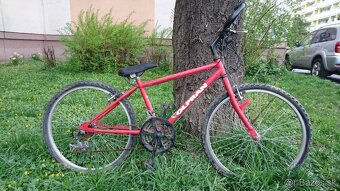 2x Trek 24"detský,dievčenský,dámsky,ženský,decký,puberťáka - 2