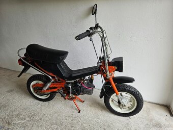 Stella - 2