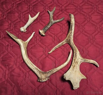 parohy parožie na výrobky rukoväť noža - 2