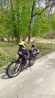 Honda Dominator 500 - 2