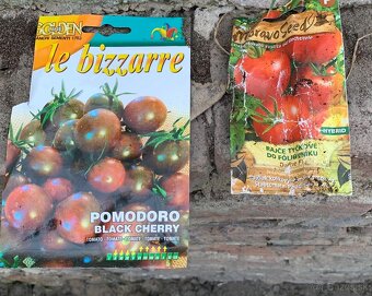 Planty rajcin a paprika - 2
