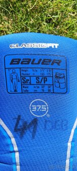 Hokejové nohavice Bauer Nexus - 2