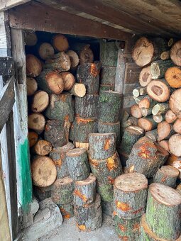 Predám drevo na kúrenie - 2