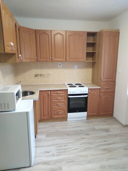 Prenájom 1 izbový byt v NDCA - 2