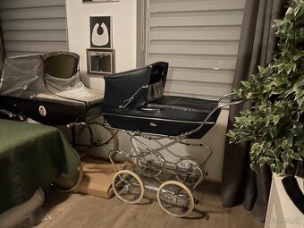 Taliansky kociarik Peggy - 2