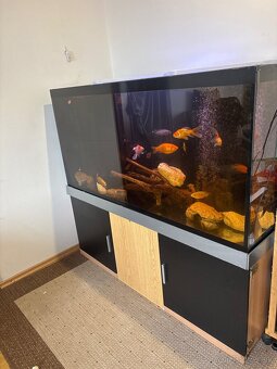 Predam akvarium 600l - 2