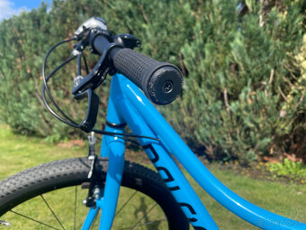 Naloo Chameleon 24" ľahký švajčiarsky detský bicykel - 2