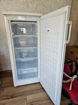Mraznicka amica - 2