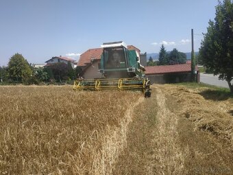 Jačmeň - 2
