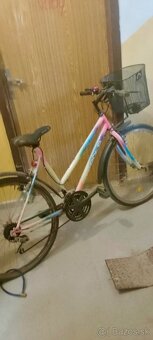Dámsky bicykel - 2