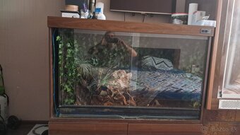 Predam terarium - 2
