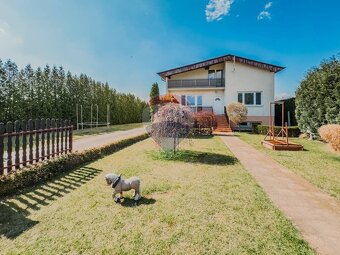 Rodinný dom s pozemkom 3 401 m2 - Malé Ripňany - na predaj - 2