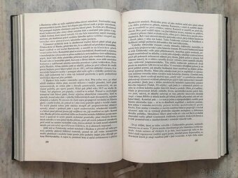 Dějiny české literatury 1-3 (komplet) - 2