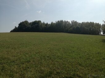 Pozemok - trvalý trávnatý porast - 2