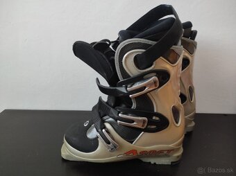 Lyže, lyžiarky,palice - 2