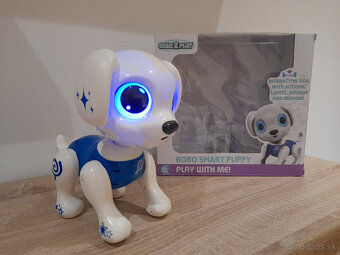Robotický pes - 2