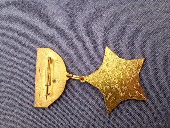 partizansky odznak M.R. Štefanika - 2