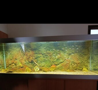 Predám akvárium - 2