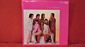 NEOTON-------NEWTON FAMILY /Dandelion - 2
