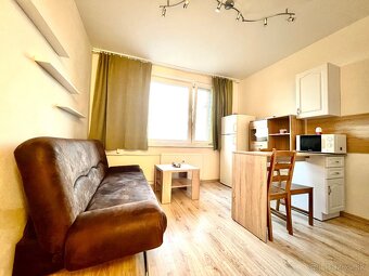 1 izbový klimatizovaný byt s balkónom po kompletnej rekonštr - 2