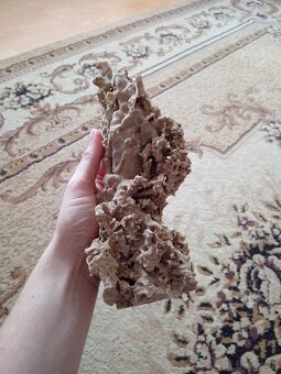 Korál, dekoracia, starožitnosti - 2