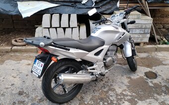 HONDA CBF 250 - 2