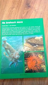 Kniha Na brehoch mora - 2