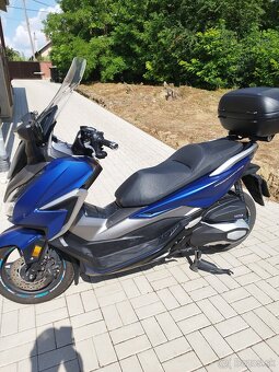 Honda forza - 2