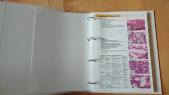 Atlas histologie - 2