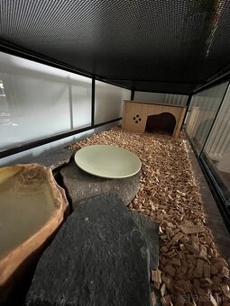 terarium - 2