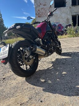 Benelli Leoncino 500 2019 - 2