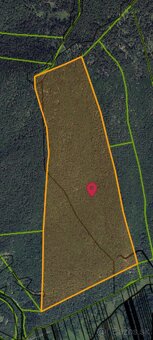 Predám lesný pozemok na Liptove - 2