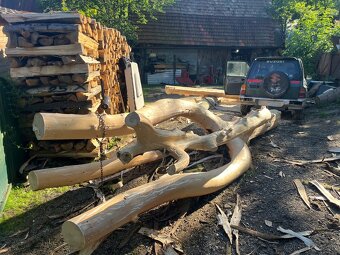 Samorast Smrekova koruna - 2